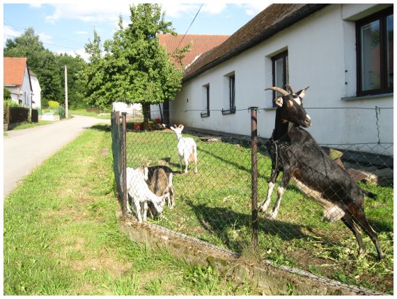 v obr z Pořína