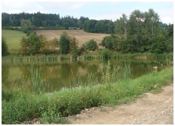 v obr z Pořína